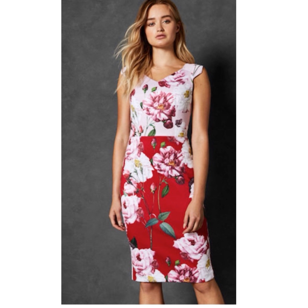 Ted Baker Pink and Red Floral Sheath Dress